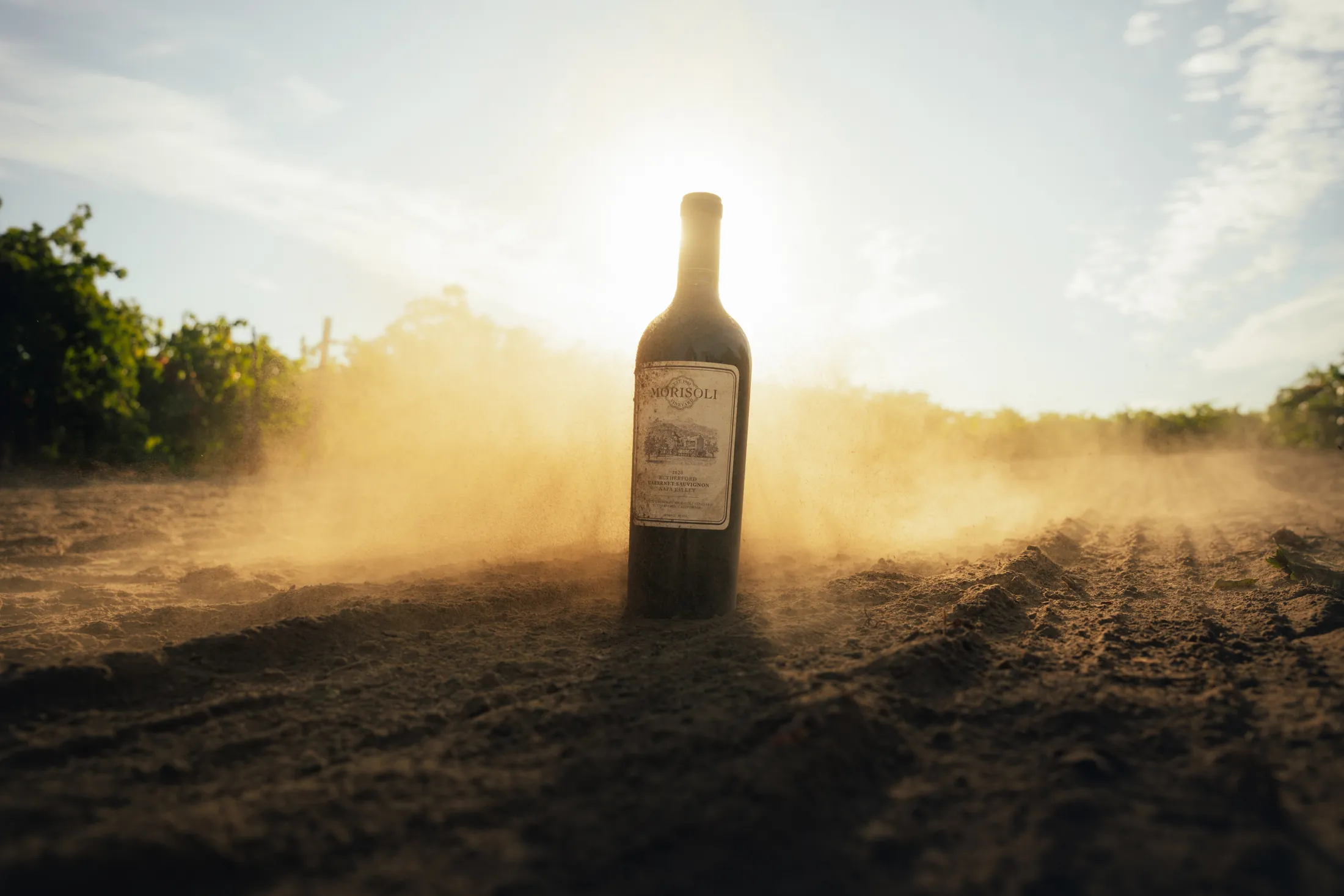 wine bottle standing in sunlit dust