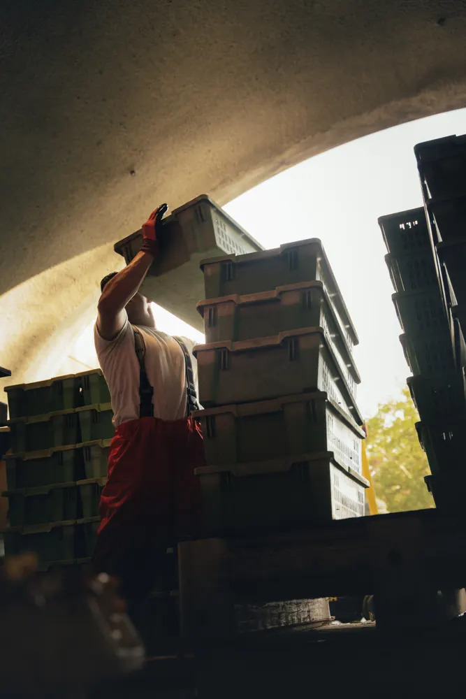 worker stacking harvest bins in a cave