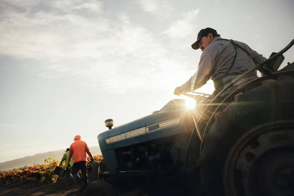 tractor driver in a vineyard at first light