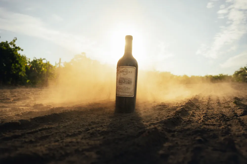 wine bottle standing in sunlit dust